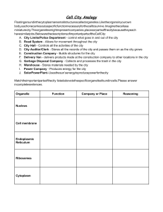 Cell City Analogy Worksheet: Match Organelles to City Parts