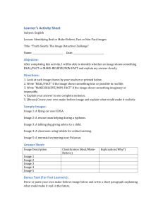 Truth Sleuth: Image Detective Challenge - Real or Make-Believe Activity