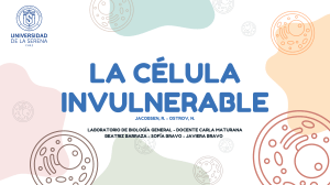 La c&eacute;lula invulnerable: Recodificaci&oacute;n gen&eacute;tica de E. coli para inmunidad viral