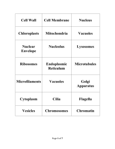 Cell Organelles & Structures: Functions and Definitions Study Guide