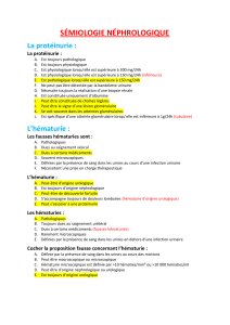 Questions d'examen en n&eacute;phrologie : Prot&eacute;inurie, h&eacute;maturie et insuffisance r&eacute;nale