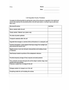 Cell Organelles Practice Worksheet - Biology
