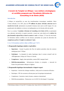 L’avenir de l’emploi en Afrique , Les métiers stratégiques et certifiés proposés par l’Académie Africaine de Consulting et de Génie