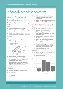 Cambridge Primary Science 5 Teacher's Resource: Workbook Answers