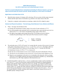 BENG 230A Homework 1: Cell Biology & Biochemistry