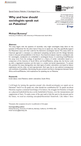 Sociologists on Palestine: Settler Colonialism, Apartheid & Action