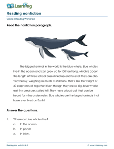 Grade 3 Reading Nonfiction Worksheet: Blue Whales Comprehension