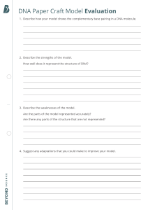 DNA Paper Craft Model Evaluation Worksheet | Biology Activity