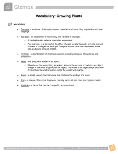 Growing Plants Vocabulary: Essential Terms for Plant Science