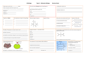 IB Biology Topic 2 Molecular Biology Revision Sheet & Study Guide