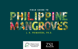 Field Guide to Philippine Mangroves: Species Identification & Rehabilitation