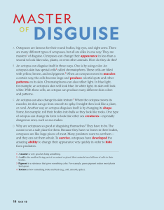 Octopus Camouflage: Master of Disguise