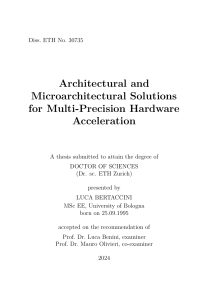 Multi-Precision Hardware Acceleration: Architectural Solutions