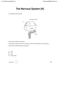 Nervous System Exam Questions (High School)