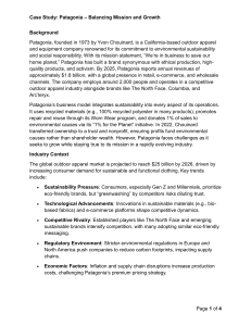 Patagonia Case Study: Mission, Growth, and Sustainability