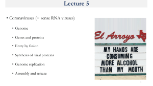 Coronavirus Lecture: Genome, Proteins, Replication & Entry