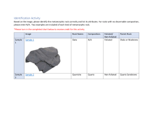 Metamorphic Rock Identification Activity | Geology Worksheet