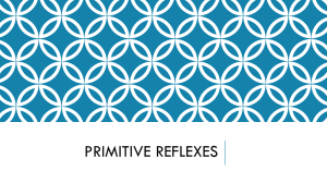 Primitive Reflexes: Integration, Symptoms, Tests & Exercises Guide