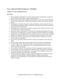 Labor and Birth Processes: Key Points | Maternal Child Nursing