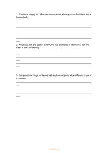 Human Body Joints Worksheet: Hinge & Ball-and-Socket Comparison