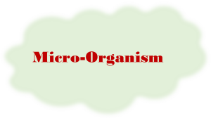 Micro-Organisms: Types, Benefits, and Harmful Effects