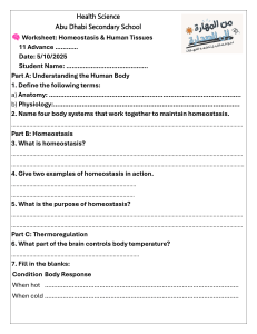 Homeostasis & Human Tissues Worksheet | Health Science Grade 11