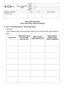 Energy Flow & Food Chains Worksheet: Bogor Field Trip
