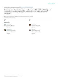 Ministrokes & Motor Output: Optogenetic Study in Transgenic Mice