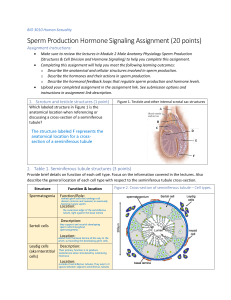 Sperm Production & Hormone Signaling Assignment