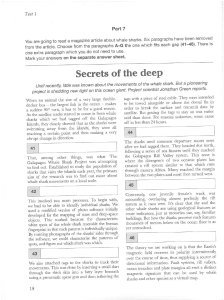 Whale Shark Movements Reading Comprehension Test | English Practice