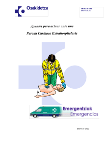 Gu&iacute;a Paro Card&iacute;aco: RCP y Desfibrilaci&oacute;n