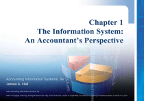 Chapter 1: The Information System - An Accountant's Perspective