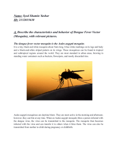 Dengue Fever Mosquito: Characteristics, Behavior & Control in Bangladesh