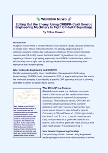 CRISPR-Cas9 Genetic Engineering to Fight CR-hvKP Superbugs