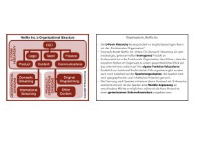 Netflix Organisationsstruktur: U-Form Hierarchie & Sparten