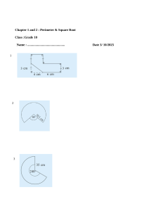 Grade 10 Math Worksheet: Perimeter, Square Root & Geometry Problems