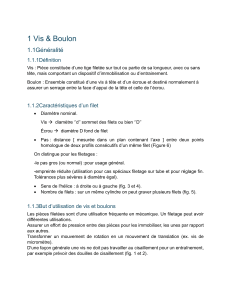 Vis & Boulons : Guide Technique