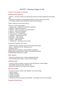 PATHFIT 1 Anatomy Reviewer: Key Concepts & Terms