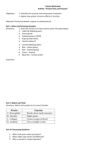 Protein Structure and Function Worksheet