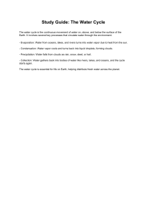 The Water Cycle Study Guide: Processes & Importance for Earth