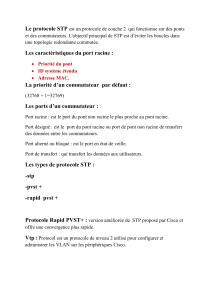 Aide-m&eacute;moire Protocoles R&eacute;seau: STP, VTP, OSPF, EIGRP