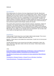 Muscle & Tendon Tissue: Structure & Mechanical Properties