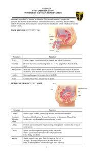 reproduction worksheet 8  human reproduction (1)