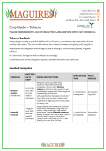 Tobacco Crop Guide: Seedbeds, Fertilization & Pest Control