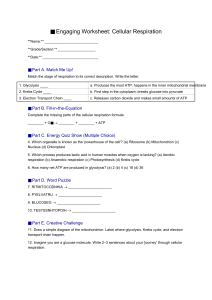 Cellular Respiration Worksheet: Biology Practice