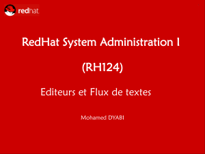 Administration Syst&egrave;me Red Hat I : &Eacute;diteurs & Flux de Texte