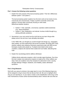 Consciousness Activity: Dual Processing, Caffeine & Drug Research