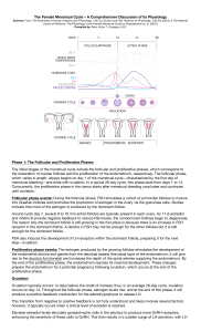 Female Menstrual Cycle: Physiology, Phases & Hormonal Regulation