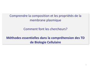 Guide des Techniques de Biologie Cellulaire
