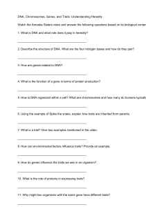 DNA, Genes, Traits: Heredity Worksheet